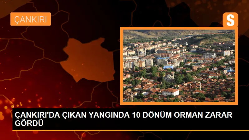 Çankırı'da çıkan yangında 10 dönüm orman zarar gördü
