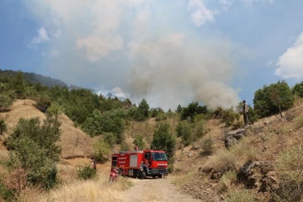 Çankırı'nın Ilgaz ilçesinde orman yangını çıktı