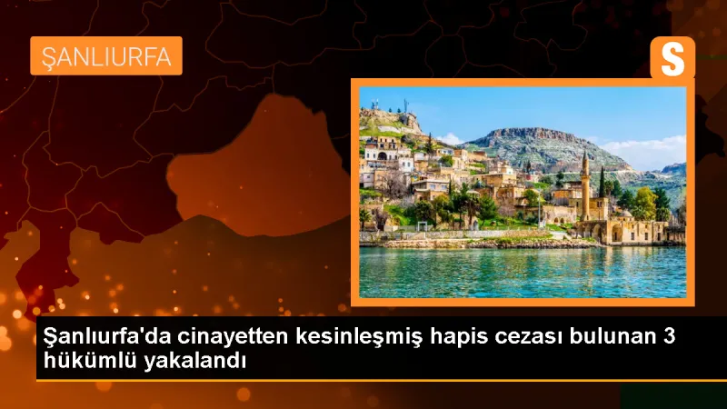 Ceylanpınar'da cinayet suçundan hükümlü 3 kişi yakalandı