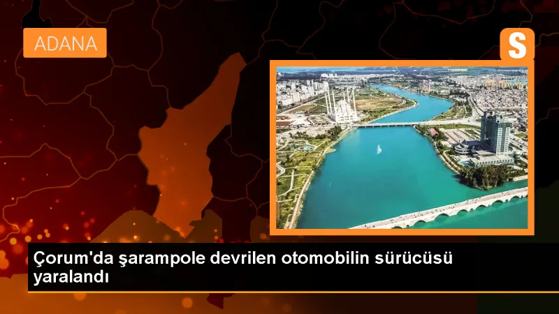 Çorum Alaca'da Otomobil Şarampole Devrildi, Sürücü Yaralandı