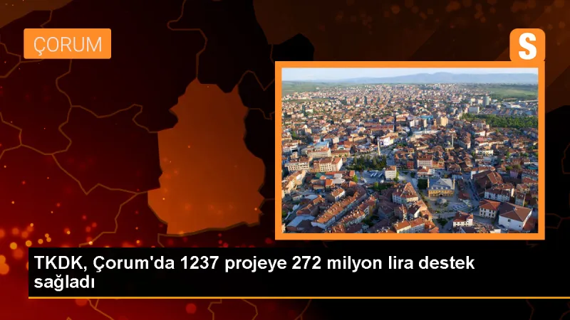 Çorum'da TKDK tarafından 1237 projeye 272 milyon lira hibe desteği sağlandı