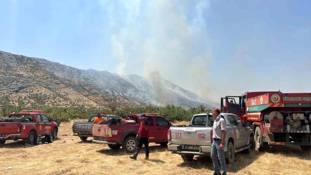 Diyarbakır Hani ilçesinde orman yangını