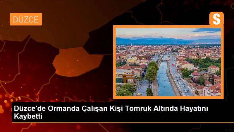 Düzce'de Ormanda Çalışan Kişiye Tomruk Düştü, Hayatını Kaybetti