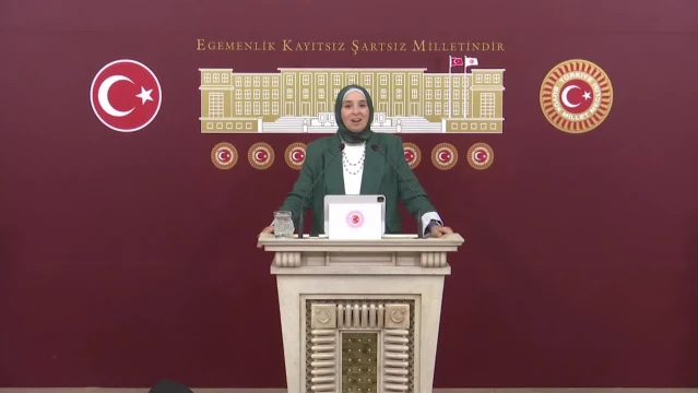 Elif Esen: '17 Ağustos 1999, Ülkemiz İçin Bir Milattı.
