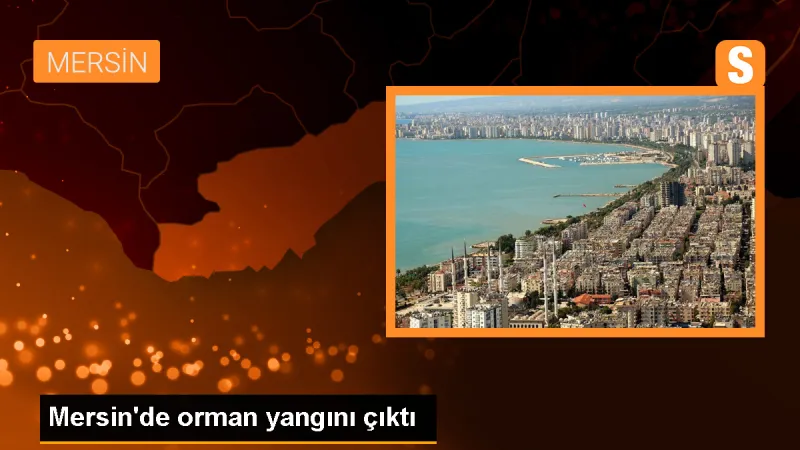 Erdemli'de Orman Yangınına Havadan ve Karadan Müdahale Ediliyor