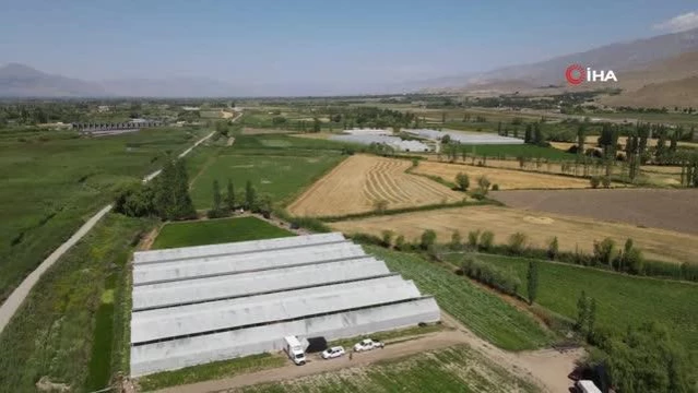 Erzincan'da Seracılık Sektörü Büyük Gelişme Gösteriyor