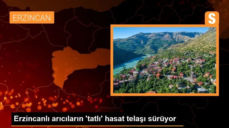 Erzincanlı arıcıların 'tatlı' hasat telaşı sürüyor