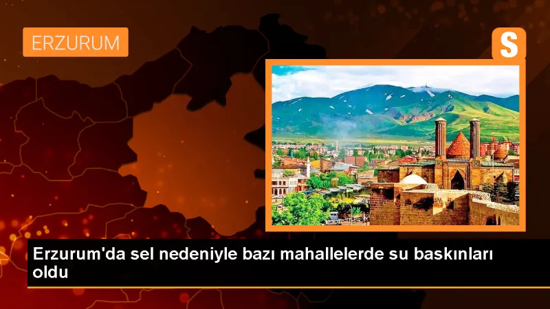 Erzurum'un Horasan ilçesinde şiddetli sağanak sonrası sel felaketi