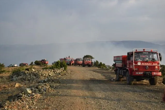 Eskişehir Alpu'da çıkan orman yangını kontrol altına alındı