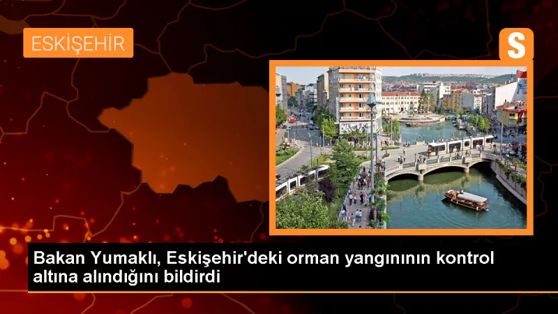 Eskişehir'deki Orman Yangını Kontrol Altına Alındı
