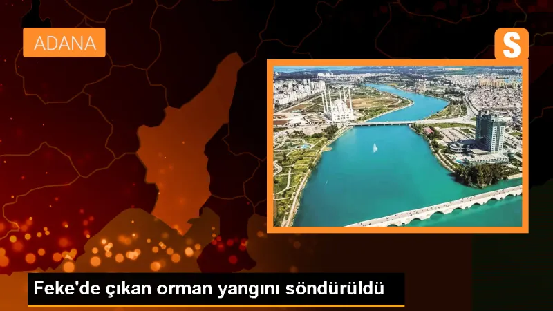 Feke'de çıkan orman yangını söndürüldü