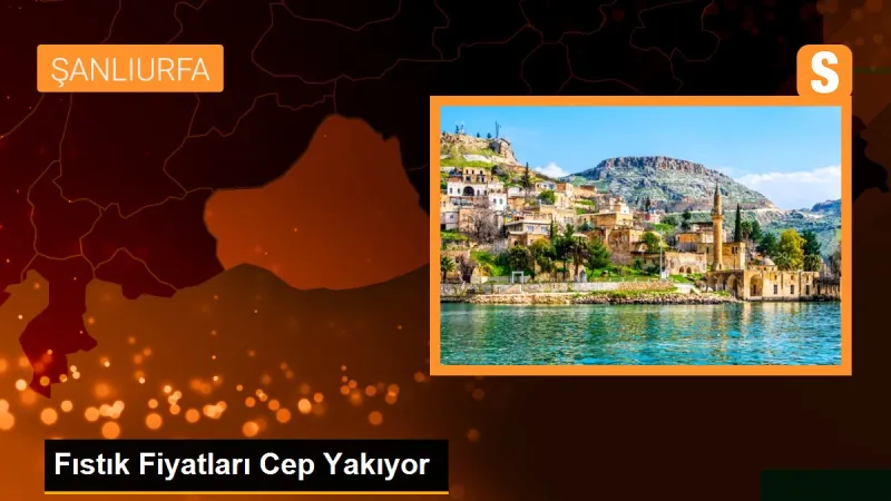 Fıstık Fiyatları Cep Yakıyor - Son Dakika