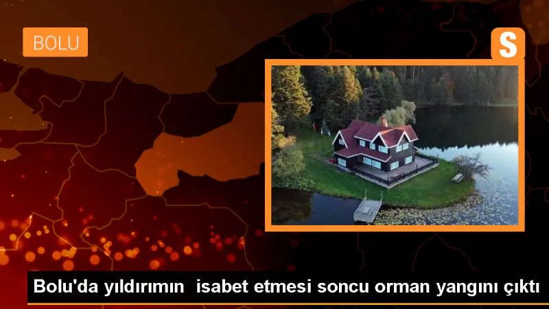 Göynük'te çıkan orman yangını erken müdahale ile söndürüldü