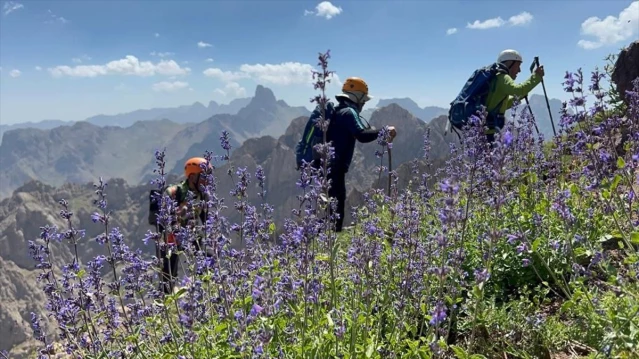Hakkari'de Dağcılar Sümbül ve Spi Dağlarında Zirve Yaptı
