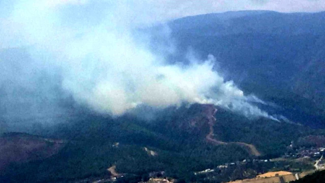 Hatay'da Ormanlık Alanda Çıkan Yangına Havadan ve Karadan Müdahale
