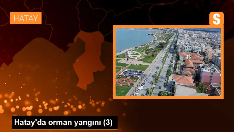 Hatay'da çıkan orman yangınıyla ilgili 4 kişi gözaltına alındı