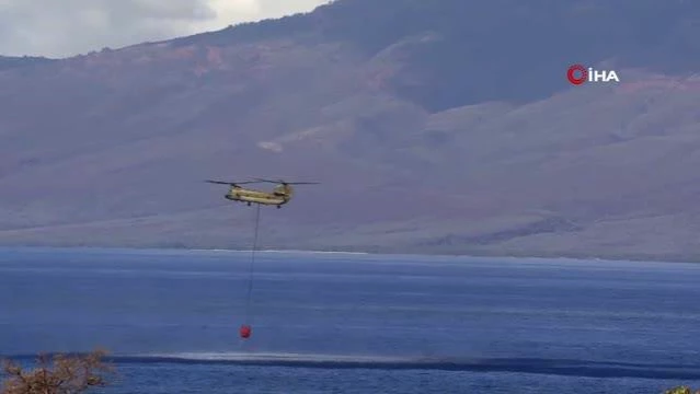 Hawaii'deki orman yangınlarında can kaybı 111'e yükseldi