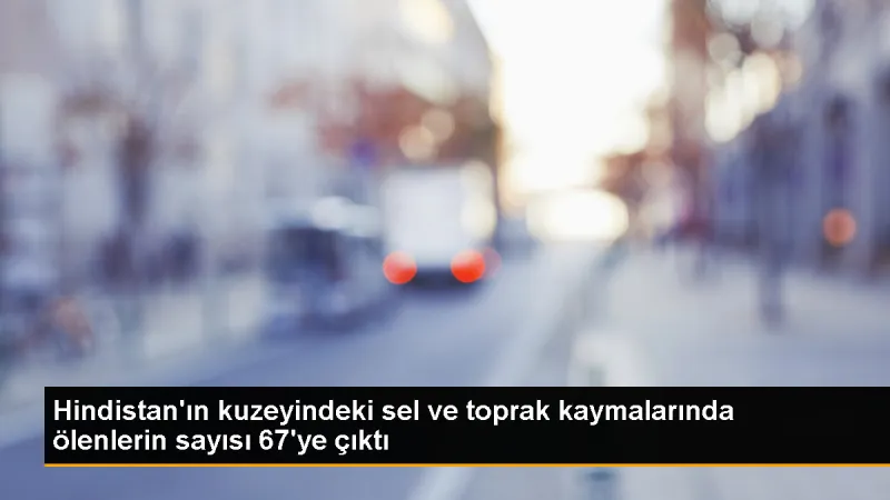 Hindistan'da Sel ve Toprak Kaymaları: Ölü Sayısı 67'ye Yükseldi