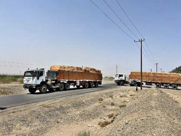 İHH, Sudan'a 15 Konteyner Yardım Malzemesi Gönderdi