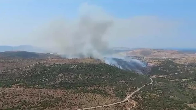 İzmir Aliağa'da Otluk ve Makilik Alanda Yangın Çıktı