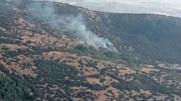 İzmir'de Bornova ve Menemen'de Orman Yangınları Kontrol Altına Alındı
