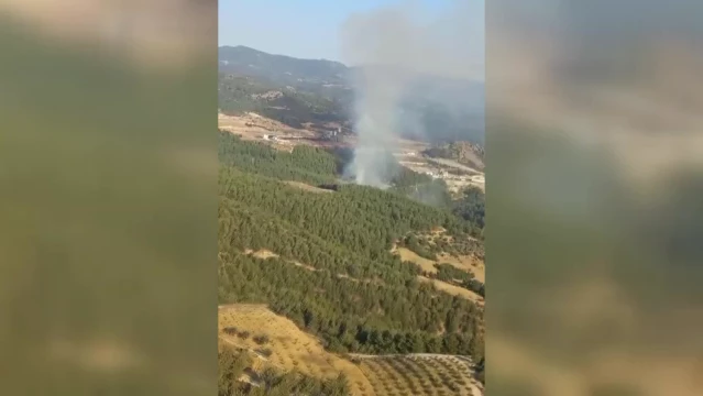 İzmir'de Çeşme ve Kınık ilçelerinde orman yangını