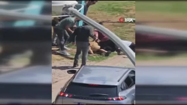 Kadıköy'de tasmasız köpek dehşeti kamerada