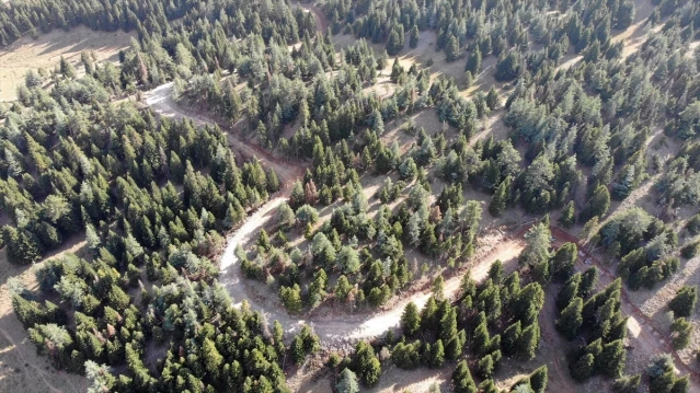 Kahramanmaraş Göksun'da 36 kilometrelik yeni orman yolu yapıldı
