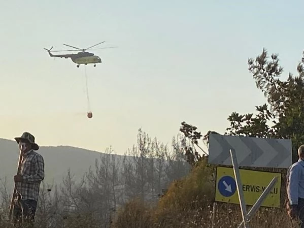 Karacabey'de çıkan yangın ormana sıçradı