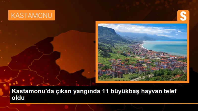 Kastamonu'da çıkan yangında 11 büyükbaş hayvan telef oldu