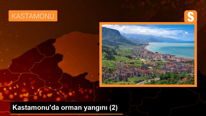 Kastamonu'da orman yangını (2) - Son Dakika