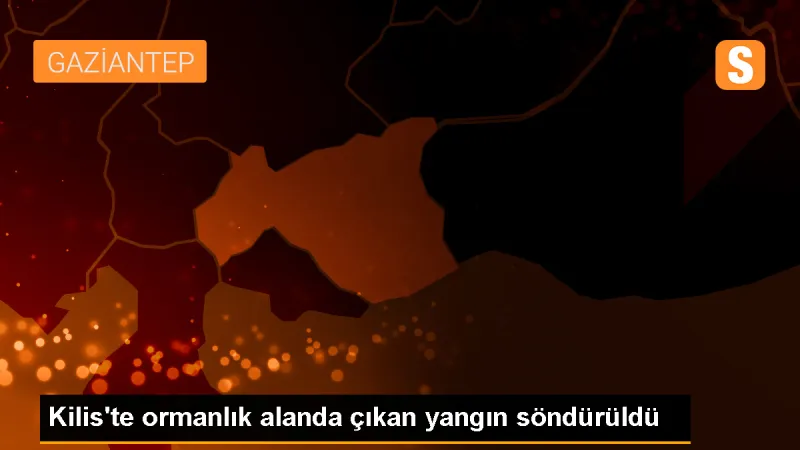 Kilis'te ormanlık alanda çıkan yangın söndürüldü