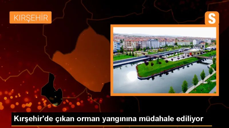 Kırşehir'deki Orman Yangını Kontrol Altına Alınmaya Çalışılıyor