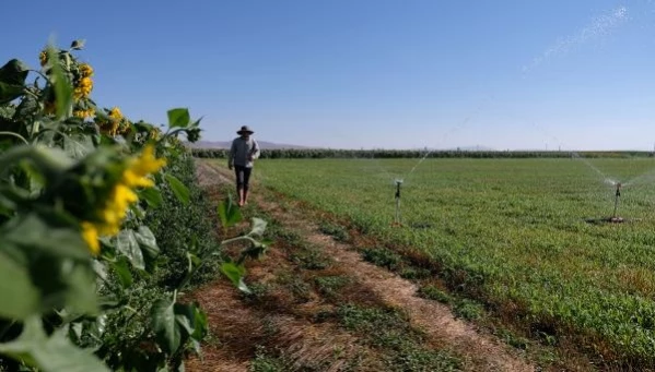 Konya Ovası'nda Su Kuyularının Derinliği Artıyor