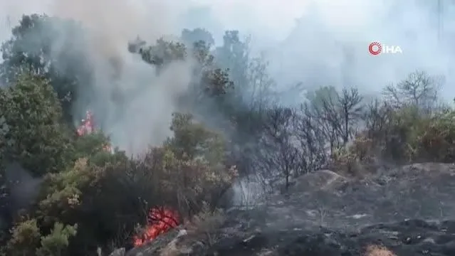 Lapseki'de orman yangını - Son Dakika