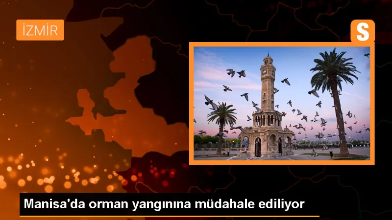Manisa'da Orman Yangınına Havadan ve Karadan Müdahale Ediliyor