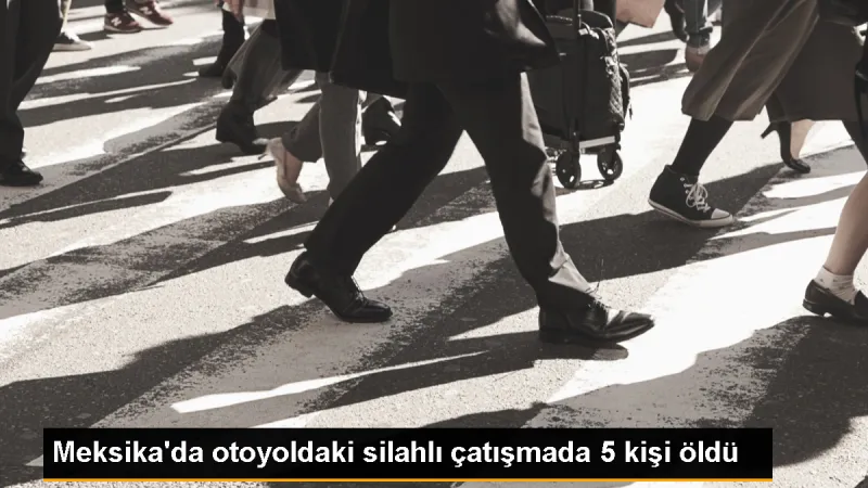 Meksika'da Silahlı Çatışma Sonucu 5 Kişi Öldü