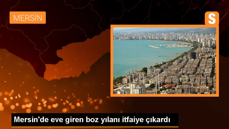 Mersin'de eve giren boz yılanı itfaiye çıkardı