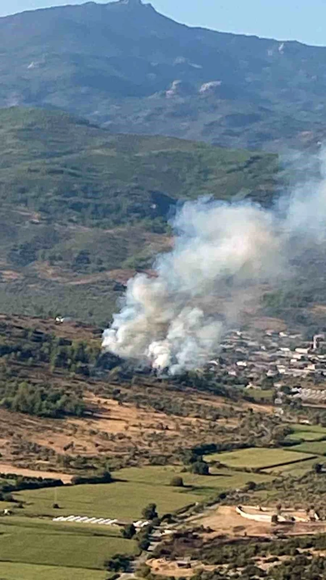 Muğla'da başlayan orman yangını 20 dakikada kontrol altına alındı