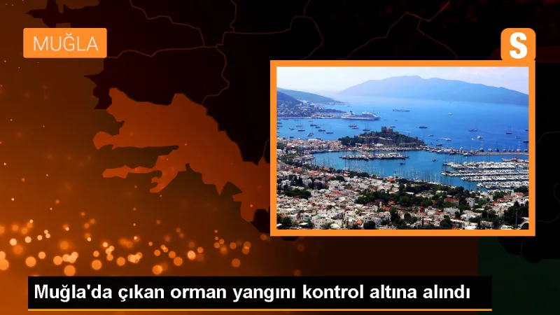 Muğla'nın Milas ilçesinde çıkan orman yangını kontrol altına alındı