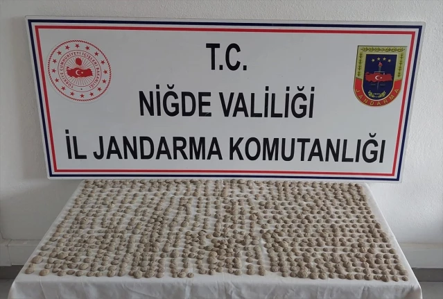 Niğde'de tarihi eser operasyonunda 4 şüpheli yakalandı