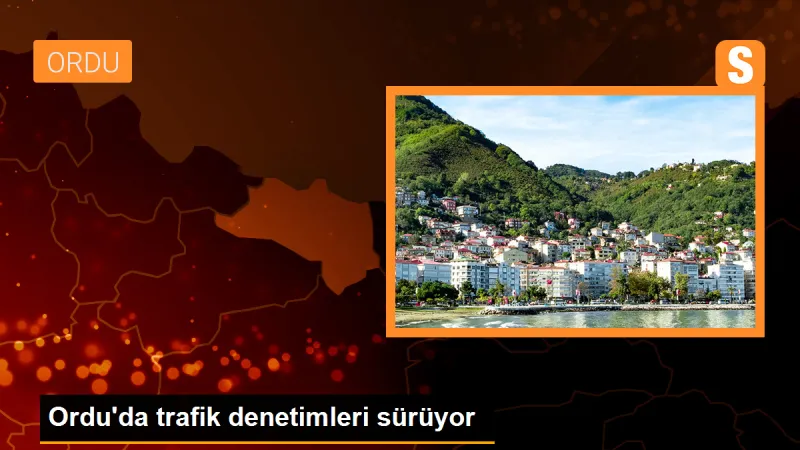 Ordu'da trafik denetimleri sürüyor - Son Dakika