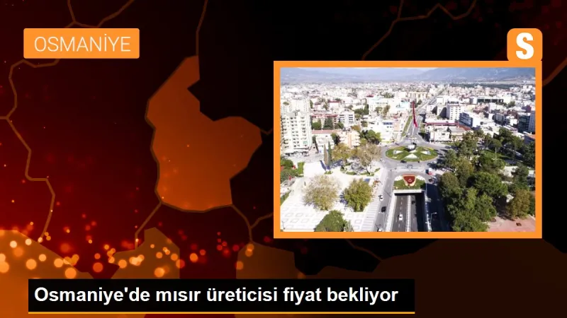 Osmaniye'de mısır üreticisi fiyat bekliyor