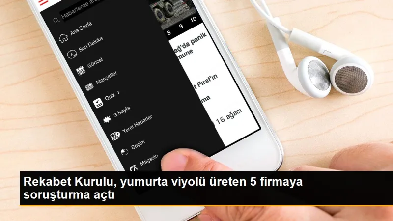 Rekabet Kurulu, yumurta viyolü üreten 5 firmaya soruşturma açtı