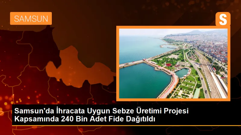 Samsun'da İhracata Uygun Sebze Üretimi Projesi Devam Ediyor