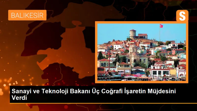 Sanayi ve Teknoloji Bakanı, Avrupa Birliği'nde tescil yolunda olan üç coğrafi işaretin müjdesini verdi
