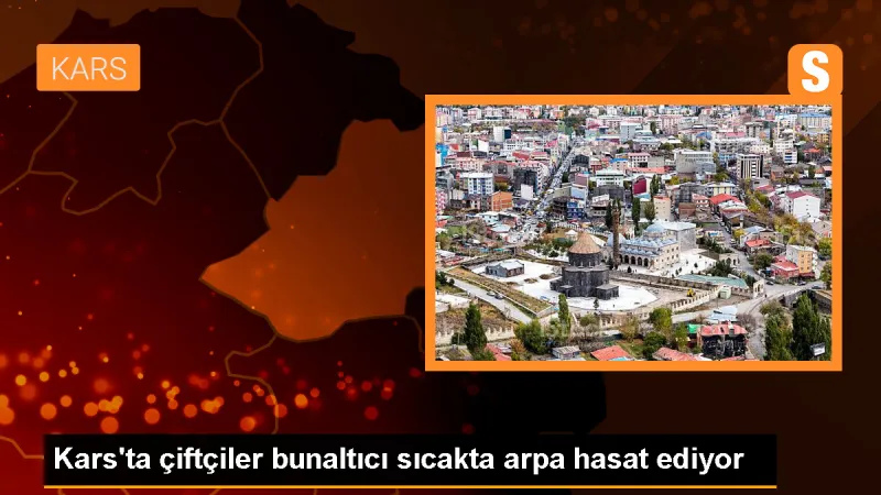Sarıkamış'ta Çiftçiler Arpa Hasadına Başladı