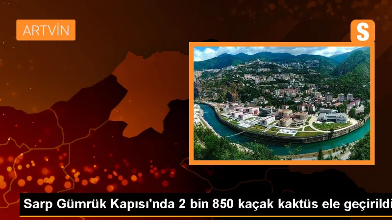 Sarp Gümrük Kapısı'nda 2 Bin 850 Kaçak Kaktüs Ele Geçirildi