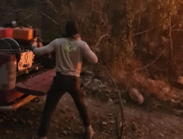 Siirt ve Bingöl'de Orman Yangını