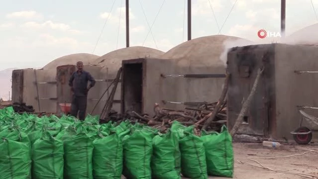 Şırnak'ta Aile, Meşe Kömürü Üreterek Geçimini Sağlıyor
